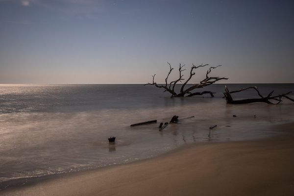 Looney, Hollice 아티스트의 USA-Georgia-Jekyll Island-Sunset at Driftwood Beach and the petrified trees작품입니다.
